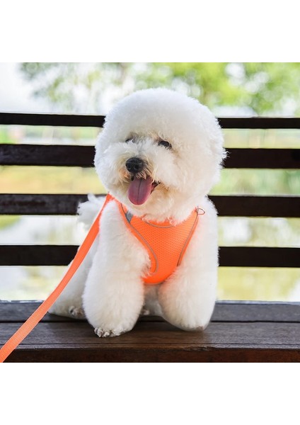 8-Mavi Tarzı L Boyutu Naylon Köpek Koşum Tasma Yansıtıcı Evcil Hayvan Koşumu Yelek Nefes Ayarlanabilir Yaka Chihuahua Küçük Büyük Köpekler Kedi (Yurt Dışından) fırsatları