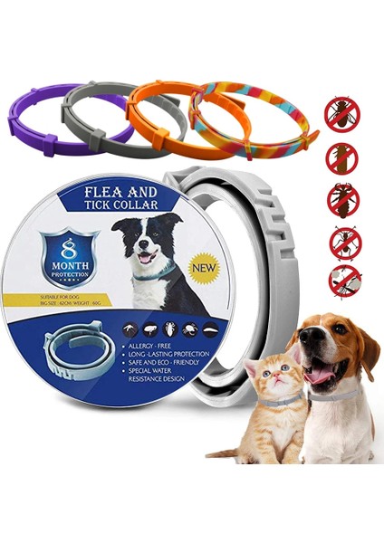Gökkuşağı Tarzı Köpek Su Geçirmez Anti-Sivrisinekler 8 Ay Koruma Ayarlanabilir Kediler Köpekler Yaka Böcek Kovucu Pire ve Kene Yaka (Yurt Dışından)