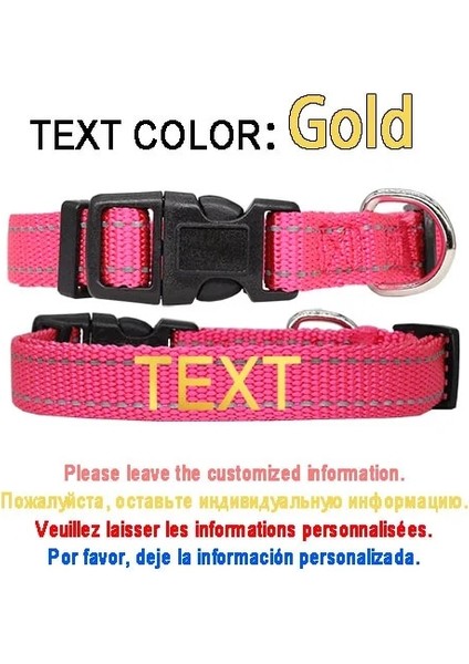 Rose-Glod Tarzı S Beden Kişiselleştirilmiş Naylon Köpek Tasması Yansıtıcı Baskı Kımlık Etiketi Özel Ad Ayarlanabilir Yaka Köpek Küçük Orta Büyük Pet Pitbull (Yurt Dışından)