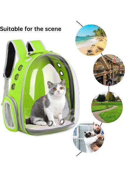 Sarı Stil Pet Kedi Taşıyıcı Sırt Çantası Nefes Kedi Seyahat Açık Omuz Çantası Küçük Köpekler Kediler Için Taşınabilir Ambalaj Pet Malzemeleri Taşıma (Yurt Dışından) indirimleri