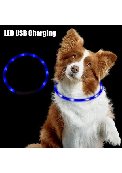 Kırmızı Stil LED USB Köpek Tasması Gece Aydınlık Şarj Kolye Köpek Kaybını Önleme Gece Güvenlik Yanıp Sönen Kızdırma Yaka Evcil Hayvan Aksesuarları (Yurt Dışından) indirimleri