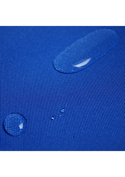 Mavi Stil Evrensel Araba Su Geçirmez Oxford Kumaş Pet Köpek Kedi Yavrusu Araba Koltuğu Koruyucu Kapak Yastık Güvenli Mat Araba Seyahat Aksesuarları (Yurt Dışından) fırsatları