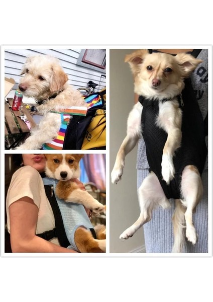 Moda Denim Tarzı S Beden Benepaw Ayarlanabilir Köpek Sırt Çantası Kanguru Nefes Alabilir Ön Köpek Köpek Taşıma Çantası Pet Taşıma Seyahat Bacakları Dışarı, Kolay Sığdır 6 Renk (Yurt Dışından) modelleri