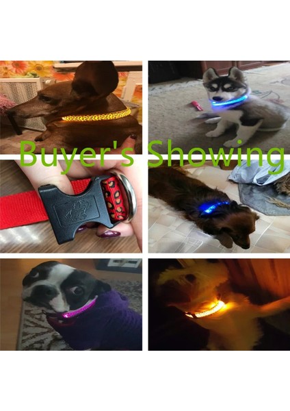 Beyaz Stil Xl Boyutu LED Leopar Köpek Yaka Aydınlık Gece Güvenlik Işığı Yanıp Sönen Parlayan Köpek Yaka Karanlıkta Mascotas Pet Köpek Kedi Köpek Tasmaları (Yurt Dışından) fırsatları
