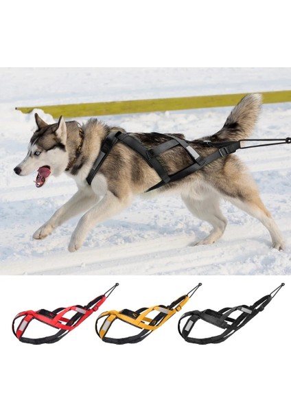 Siyah Stil Xl Boyutu Su Geçirmez Köpek Kızağı Çekme Koşum Büyük Köpekler Için Pet Mushing Koşum Husky Pet Egzersiz Bikejoring Kızak Skijoring Koşum (Yurt Dışından) fiyatları