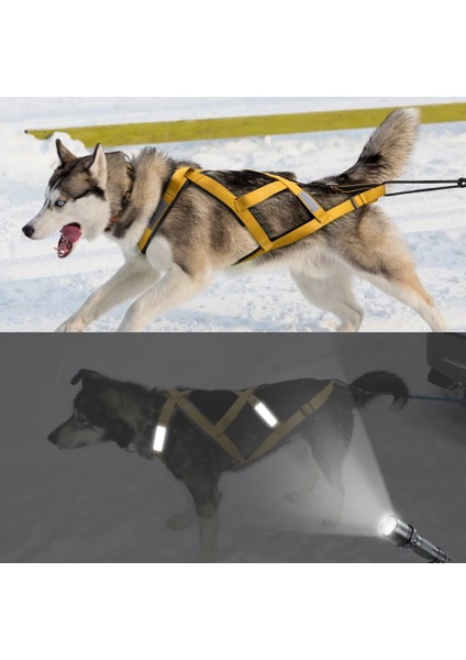 Siyah Stil Xl Boyutu Su Geçirmez Köpek Kızağı Çekme Koşum Büyük Köpekler Için Pet Mushing Koşum Husky Pet Egzersiz Bikejoring Kızak Skijoring Koşum (Yurt Dışından) indirimleri