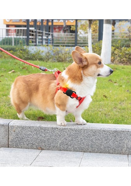 Siyah Stil Evcil Hayvan Ürünleri Köpek Kedi Anti-Kayıp Aydınlık Silikon Kılıf Apple Airtags Için Kapak Evcil Hayvan Yaka Gps Takip Cihazı Koruyucu Apple Airtag Için (Yurt Dışından)