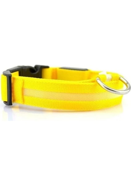 Sarı Stil L Boyutu LED Köpek Tasma ve Yaka Parlayan 3 Mod Pet Halat Gece Güvenliği Küçük Orta Büyük Köpekler Için Ayarlanabilir Naylon Kurşun Işıklı Yaka (Yurt Dışından)