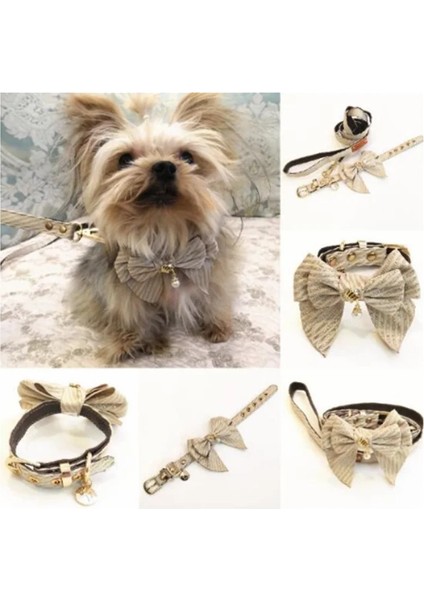 No.1 Stili S19-24CM Insta Tarzı Yeni Evcil Hayvan Tasması Pembe Şerit Teddy Altın Geri Almak Bulldog Tasma Evcil Hayvan Malzemeleri (Yurt Dışından) fiyatları