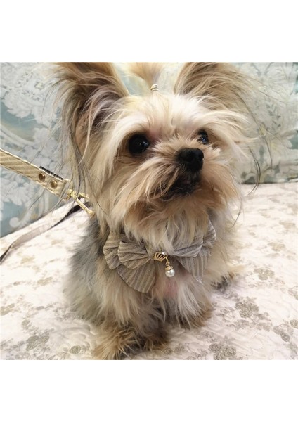 No.1 Stili S19-24CM Insta Tarzı Yeni Evcil Hayvan Tasması Pembe Şerit Teddy Altın Geri Almak Bulldog Tasma Evcil Hayvan Malzemeleri (Yurt Dışından) indirimleri