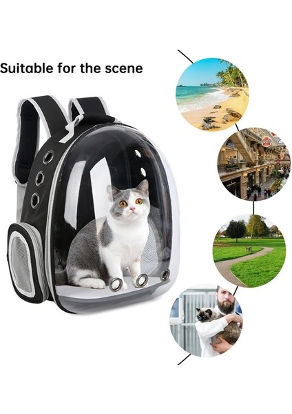 Sarı Stil Yeni Kedi Taşıma Çantası Açık Pet Omuz Çantası Taşıyıcılar Sırt Çantası Küçük Köpekler Kediler Için Nefes Taşınabilir Seyahat Şeffaf Çanta (Yurt Dışından) modelleri