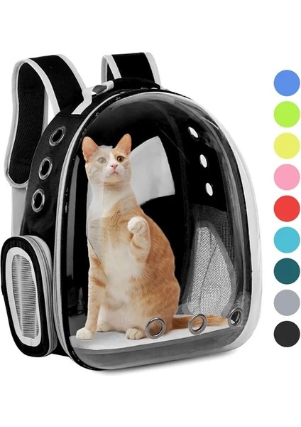 Sarı Stil Yeni Kedi Taşıma Çantası Açık Pet Omuz Çantası Taşıyıcılar Sırt Çantası Küçük Köpekler Kediler Için Nefes Taşınabilir Seyahat Şeffaf Çanta (Yurt Dışından) fırsatları