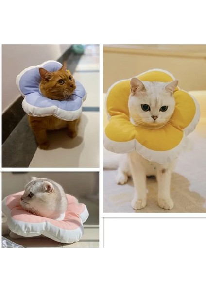 Pembe Tarzı S Beden Su Geçirmez Başörtüsü Elizabeth Yaka Ayarlanabilir Boyunluk Pamuk Pet Koni E-Yaka Kedi Için Sevimli Çiçek Desenli (Yurt Dışından) modelleri