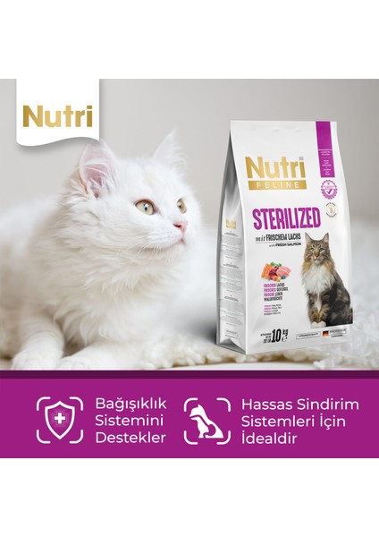 Feline Sterilised Somonlu Tahılsız Kısırlaştırılmış Kedi Maması 10 kg