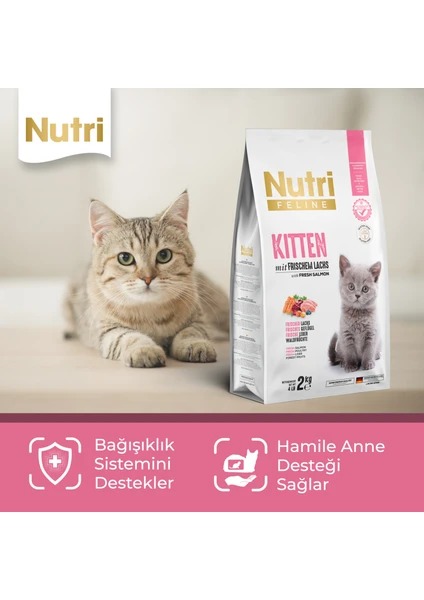 Nutri Feline Kitten Tavuklu Yavru Kedi Maması 2 kg