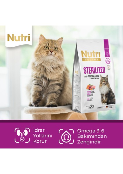 Adult Sterilised Kısırlaştırılmış Somonlu Yetişkin Kedi Maması 2 kg