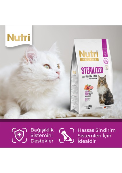 Adult Sterilised Kısırlaştırılmış Somonlu Yetişkin Kedi Maması 2 kg