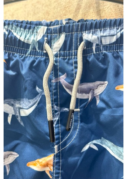 Yeni Sezon Sevimli Balina Desenli Hızlı Kuruma Özellikli Erkek Çocuk Şort Mayo modelleri