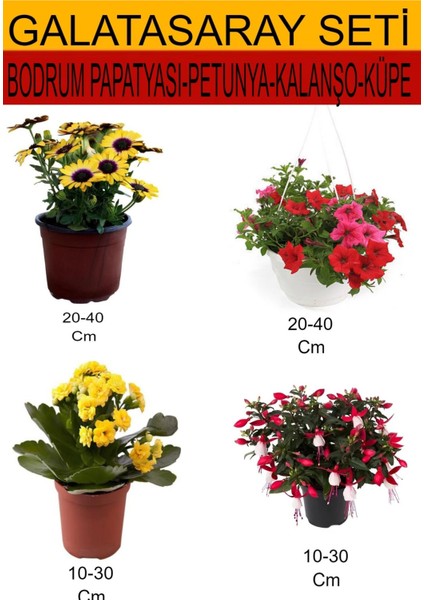 Takım Seti Bodrum Papatyası+Kalanşo+ Küpeli+ Petunya