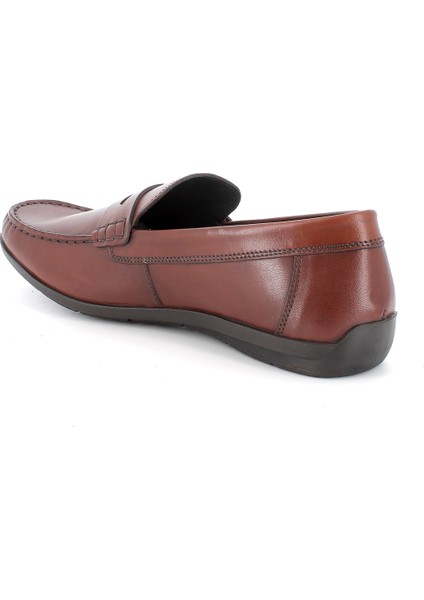 Erkek Oxford ( Klasik) 5613422 Ulk 56134 Vıtello Alfa Cognac modelleri