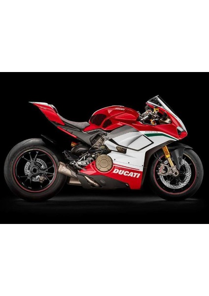 Ducati Panigale V4 S-R Depo Pad 18-20