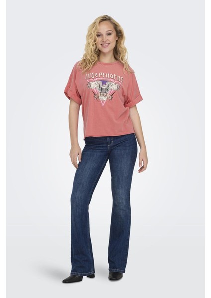 Onllucy Pamuklu Regular Bayan T Shirt 15316637 modelleri