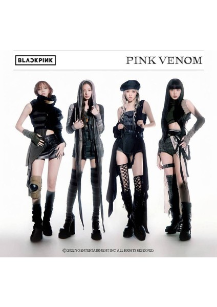Blackpink Pink Wenom 30X42 cm Çerçevesiz Poster