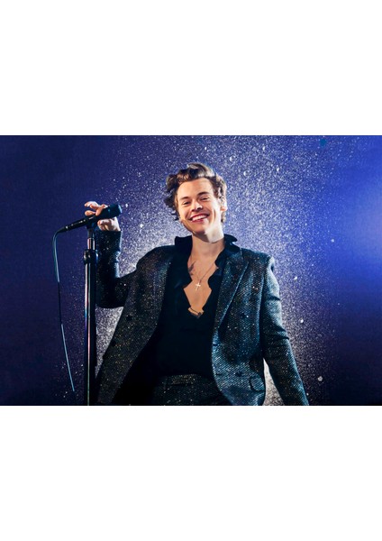 Harry Styles 30X42 cm Çerçevesiz Poster 8k