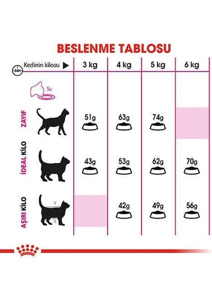 Exigent Savour Seçici Yetişkin Kedi Maması 2 Kg