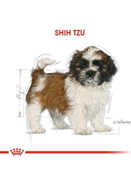 Shihtzu Yavru Köpek Maması 1,5 Kg