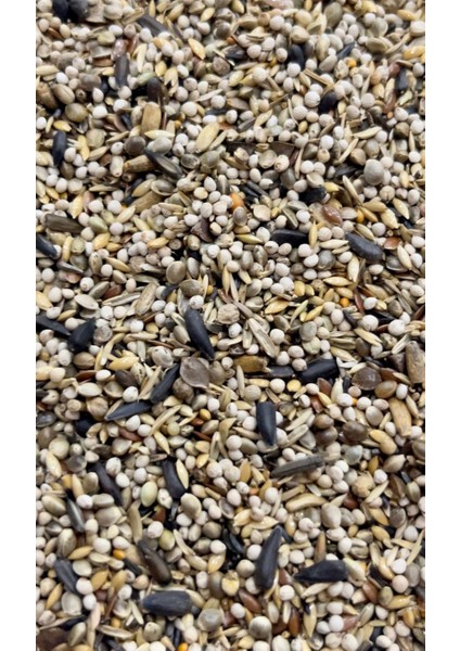 Saka Yemi 0242 Yabani Sağlık Tohumu 15 kg