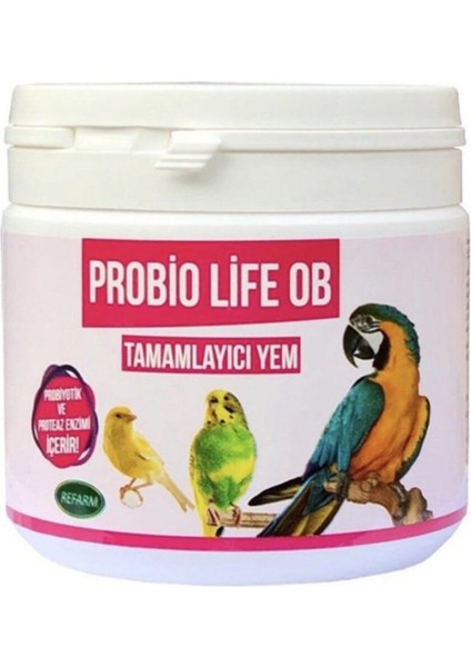 Probiolife Ob Prebiyotik ve Probiyotik Takviyesi 350gr