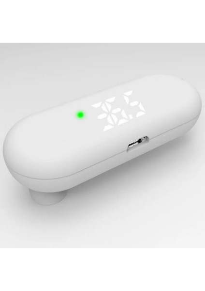 2022 Yeni Şarj Edilebilir Küçük Alın Yüzeyi LCD Kızılötesi Olmayan Sıcaklık Ölçüm Termometresi Veri Hafıza Fonksiyonu (Yurt Dışından)