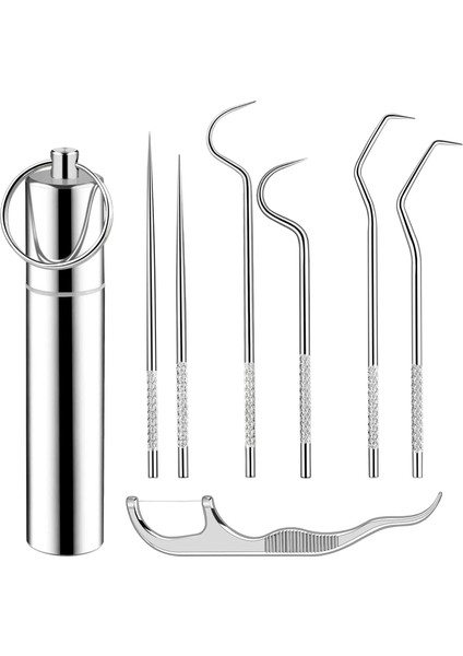 1 Takım Tarzı Et Paslanmaz Çelik Kürdan Seti Taşınabilir Metal Kürdan Ağız Temizleme Diş Diş Ipi ile Dişler Için Depolama Tüpü (Yurt Dışından)