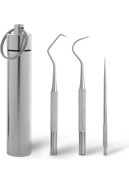 Gümüş Tarzı 1 Takım Metal Paslanmaz Çelik Ağız Temizleme Diş Diş Ipi Artefakt Taşınabilir Kolye Kürdan Tüpü Güçlü Diş Ipi (Yurt Dışından)