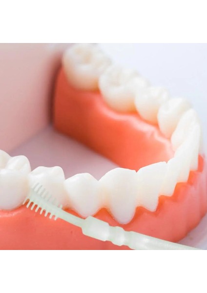 Mavi Stil Et Interdental Fırça Kürdan Güvenli Renkli Zarif Çift Başlı Interdental Fırça Hastane Için (Yurt Dışından) fiyatları
