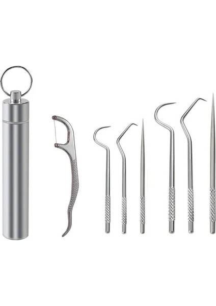 7 Adet Tarzı 304 Metal Toplama Paslanmaz Çelik Kürdan Taşınabilir Diş Taşıma Ağız Diş Tartar Temizleme Temizleme Aracı Seti (Yurt Dışından)