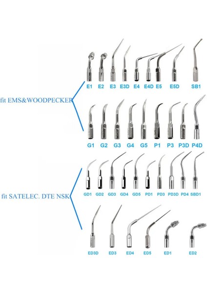 G4 Tarzı Diş Ultrasoezo Ölçekleyici Ipuçları Ems Ağaçkakan ve Dte Satelec Gep Ölçekleme E1E2E3E4E5G1GD1ED1'E Uygundur (Yurt Dışından)