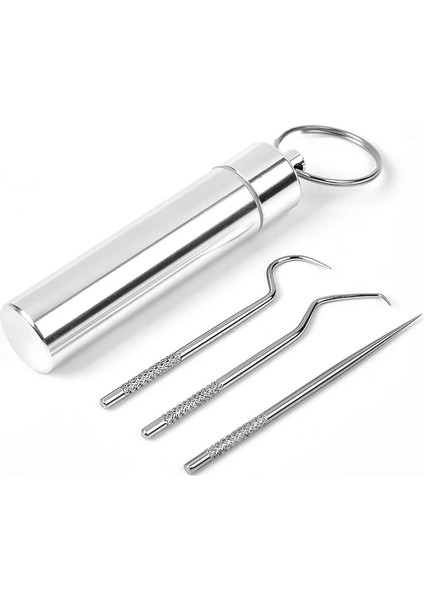 304-KÜÇÜK Stil 304 Taşınabilir Yeniden Kullanılabilir Paslanmaz Çelik Kürdan Metal Diş Kazıyıcı Diş Seçtikleri Kanca Temizleme Kiti Kürdan Tutucu ile (Yurt Dışından)