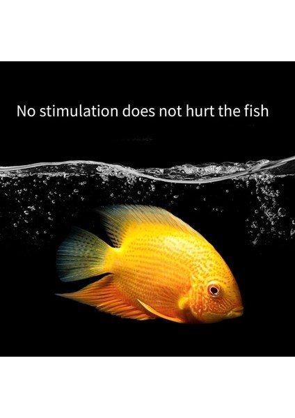 150 ml Tarzı Balık Tankı Temizleme Aracı Yosun Giderme Kireç Çözme Solüsyonu Temizleme Solüsyonu G2AB (Yurt Dışından) indirimleri