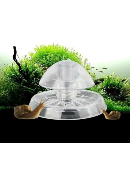 1 Adet Tarzı 8cm Akvaryum Aksesuarları Akvaryum Bitki Salyangoz Tuzak Yakalayıcı Plastik Planaria Haşere Yakalama Kutusu Akvaryum Balık Tankı Aksesuarları (Yurt Dışından) fiyatları