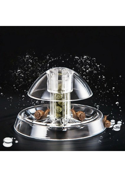 1 Adet Tarzı 8cm Akvaryum Aksesuarları Akvaryum Bitki Salyangoz Tuzak Yakalayıcı Plastik Planaria Haşere Yakalama Kutusu Akvaryum Balık Tankı Aksesuarları (Yurt Dışından) fırsatları