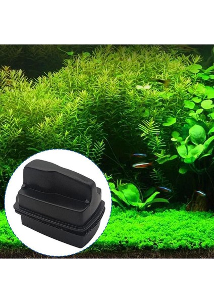 Orta Tarz 2'si 1 Arada Çift Taraflı Manyetik Fırça Ergonomi Saplı Cam Temizleyici Akvaryum Balık Tankı Temizleme Araçları Dropship (Yurt Dışından) indirimleri