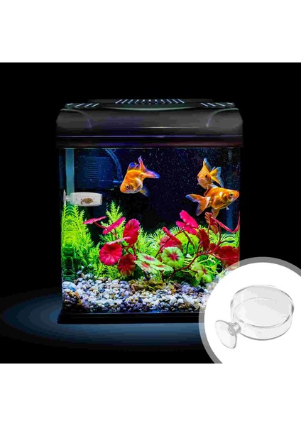 Şeffaf Stil 6.5x6.5cm Yuvarlak Tepsi Hava Besleme Kasesi Balık Tankı Besleyici Ev Hayvan 6.5x6.5 cm Şeffaf Akrilik Karides (Yurt Dışından)