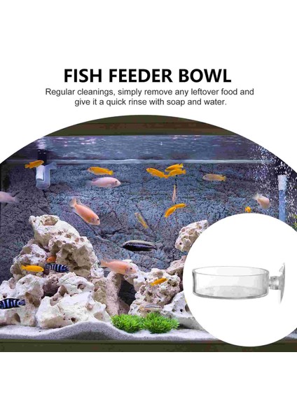 Şeffaf Stil 6.5x6.5cm Yuvarlak Tepsi Hava Besleme Kasesi Balık Tankı Besleyici Ev Hayvan 6.5x6.5 cm Şeffaf Akrilik Karides (Yurt Dışından) indirimleri