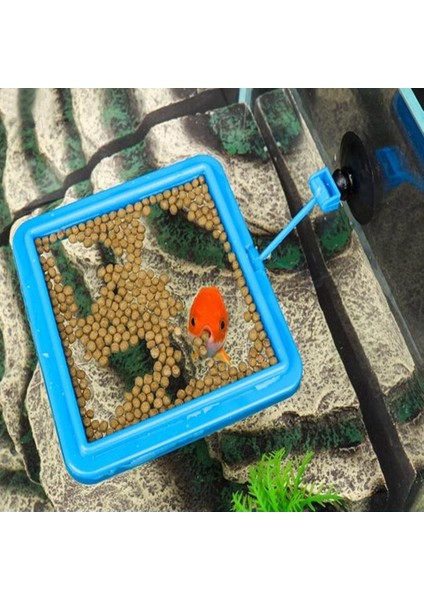 C Tarzı Yeni Akvaryum Besleme Halkası Balık Tankı Istasyonu Yüzen Yemek Tepsisi Kare Daire Aksesuar Su Tesisi Yüzdürme Emme (Yurt Dışından) modelleri