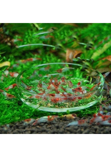 L Tarzı KX4B Karides Besleme Tabağı Yuvarlak Tepsili Şeffaf Cam Kase (Yurt Dışından) fırsatları