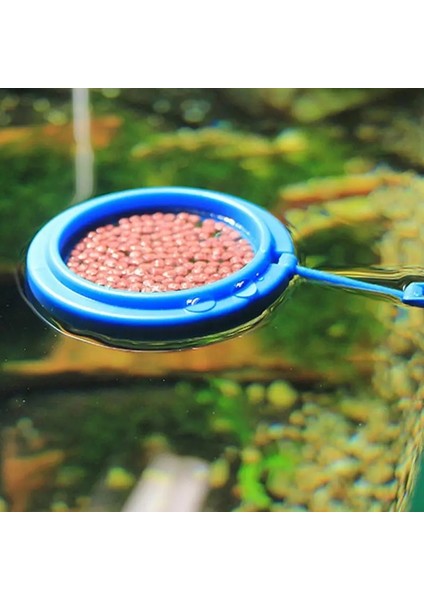 Bir Stil Balık Besleme Halkası Kare ve Yuvarlak Akvaryum Balıkları Yüzen Mama Besleyici Daire Vantuzlu Balık Besleme Balık Tankları Malzemeleri (Yurt Dışından) fırsatları