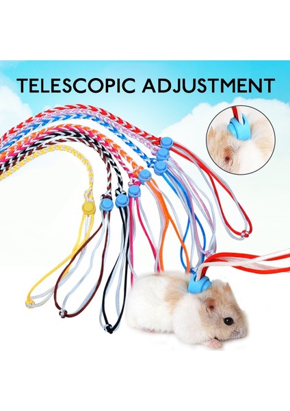 Tavşan Tarzı 1,4 Milyon Evcil Hayvan Sincap Tavşanı Yürümek Için Dışarı Çıkıyor Evcil Gine Domuzu Hamster Sarma Bir Halat Üzerinde Küçük Hamster Üzerindeki Hamster Gine Hamster Güzel (Yurt Dışından) fiyatları