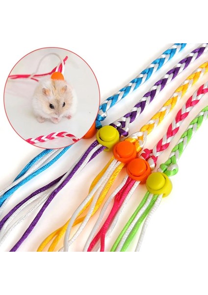 Tavşan Tarzı 1,4 Milyon Evcil Hayvan Sincap Tavşanı Yürümek Için Dışarı Çıkıyor Evcil Gine Domuzu Hamster Sarma Bir Halat Üzerinde Küçük Hamster Üzerindeki Hamster Gine Hamster Güzel (Yurt Dışından) modelleri